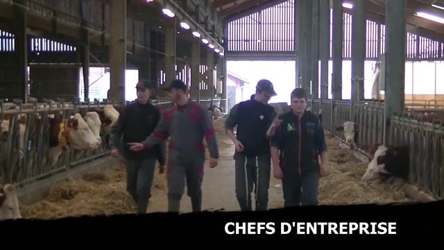ELEVEUR, un métier multi-facettes