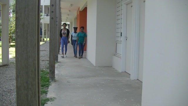 Or de Guyane - De l'orpailleur au bijoutier
