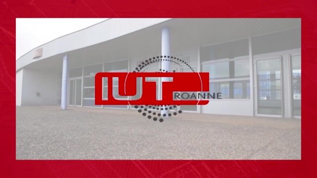IUT de Roanne - Département Techniques de Commercialisation