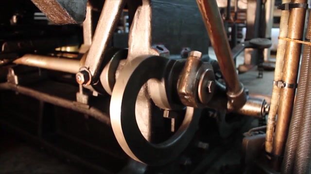Woody Wood Cutter
