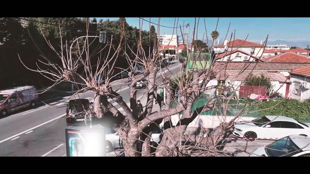 les arboristes élagueurs