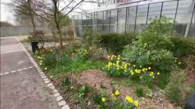 paysagiste plus qu'un métier, une biodiversité.