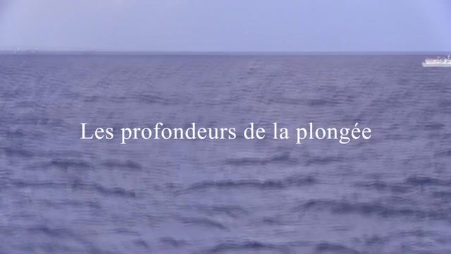 Les profondeurs de la plongée