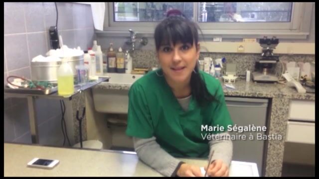 Devenir VETERINAIRE