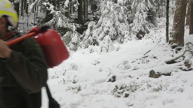 Chroniques de la forêt vosgienne : le bûcheron