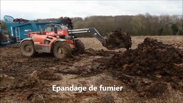 Céréalier