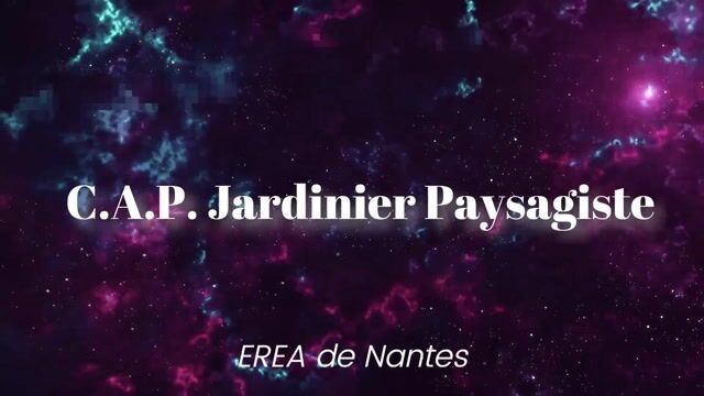 CAP Jardinier Paysagiste