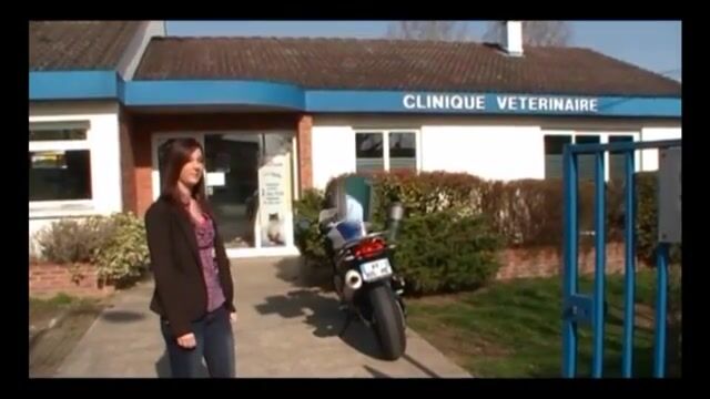 Assistant Vétérinaire : un métier qui a du chien