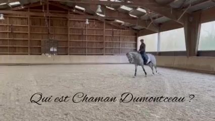 Cavalier professionnel