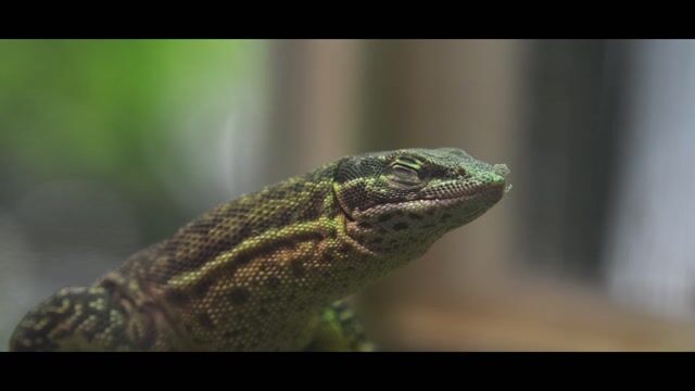 Un métier d'avenir