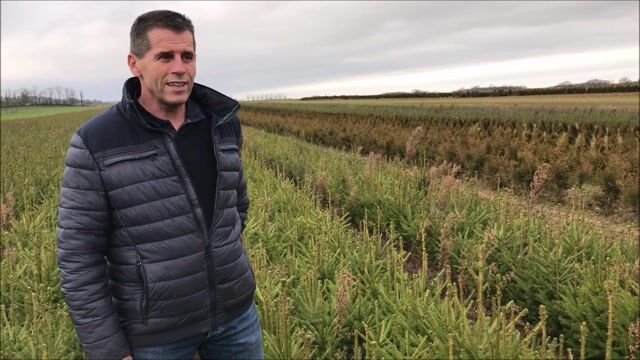 Pépiniériste, acteur majeur de la forêt.