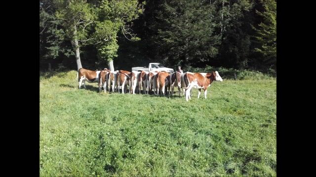 Autonomie dans la filière bio