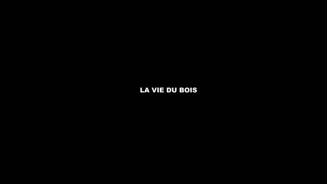La vie du bois