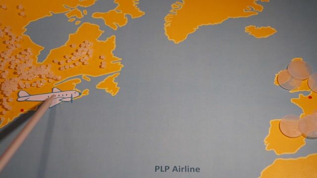 PLP Airline
