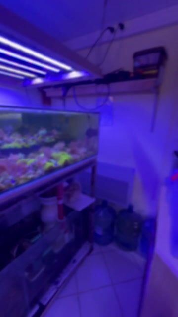 Aquarioculteur, un métier moteur