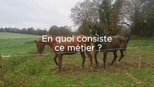 Maréchal-ferrant, un métier passion
