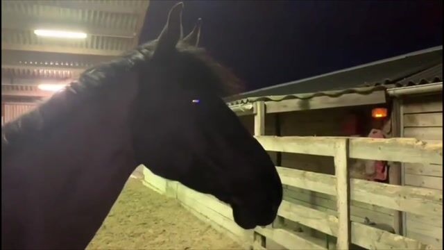 MONITRICE D'EQUITATION