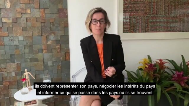 La diplomatie