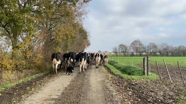 S'ouvrir à l'agriculture