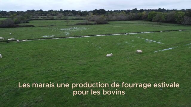 l'élevage et la biodiversité