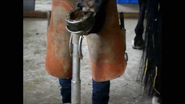 maréchal ferrant un métier d'homme?????