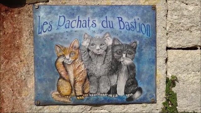 Les pachats du bastion