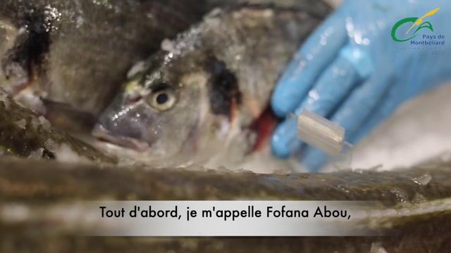 Métier de Poissonnier Écailler