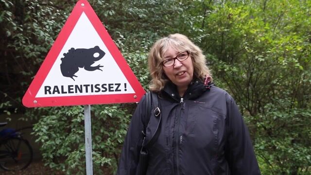 l'herpétologie