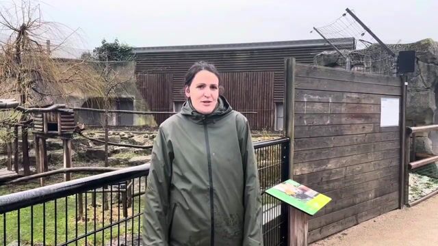 Soigneur Animalier