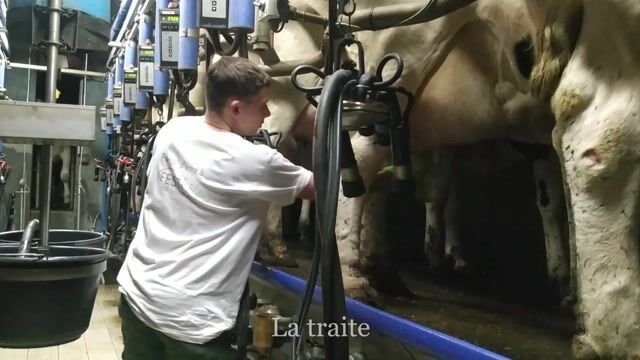 Trois productions : une passion
