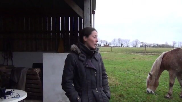 Pauline murmure à l'oreille des chevaux