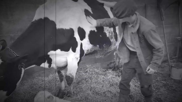 L'agriculture d'hier et de demain