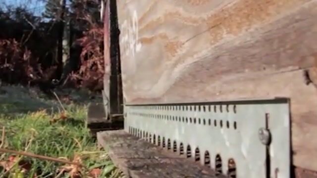 BeeKeepers