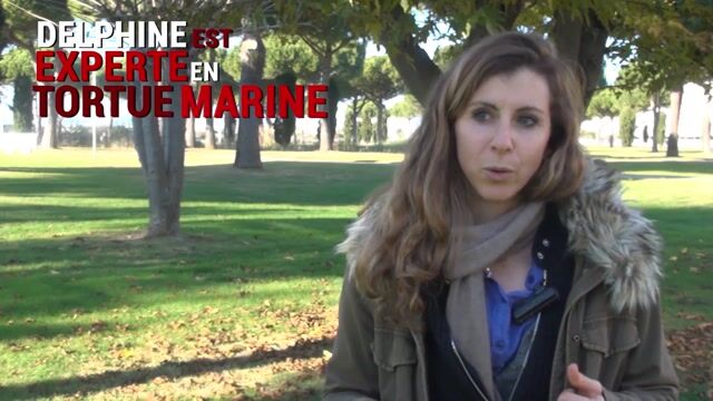 Experte en Tortue marine