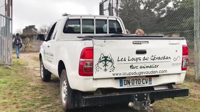 Responsable de parc animalier, une passion !