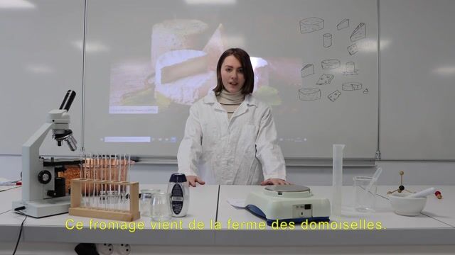 Eleveur fromager