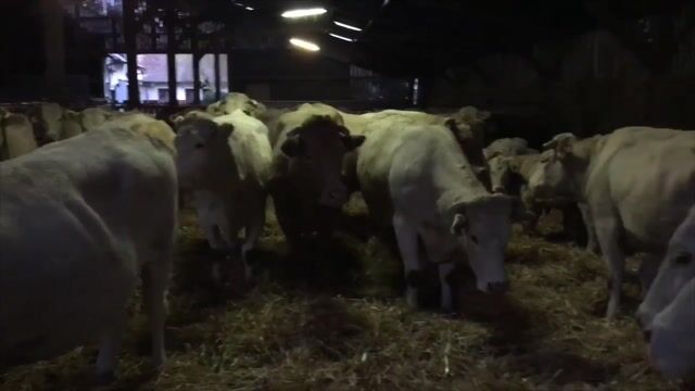L'ELEVEUR DE DEMAIN