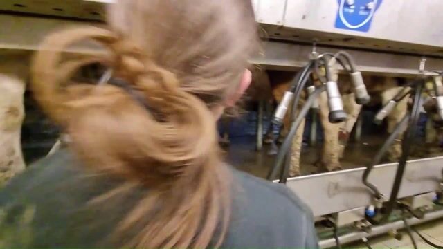 Technicien en service de remplacement: des soutiens aux agriculteurs