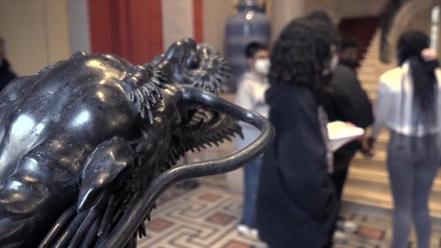 Spécialité Histoire des Arts