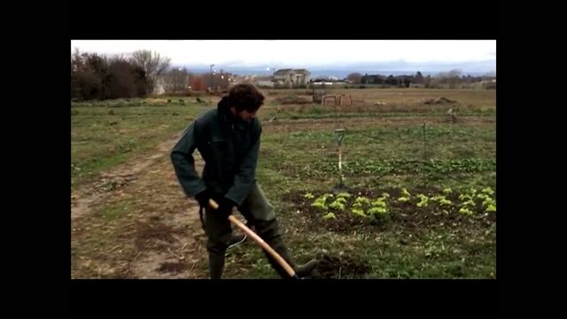 L'agriculture Bio