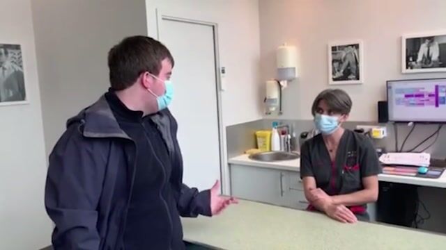 Le métier de vétérinaire animalier
