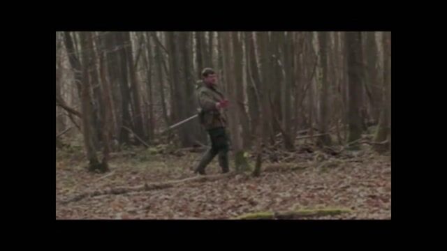 LE BONHEUR EST DANS LA FORET