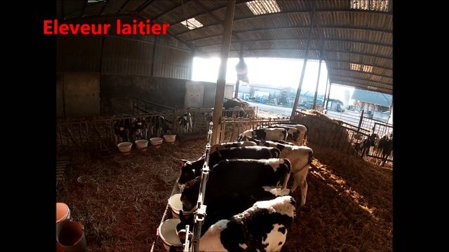 Agriculteur en polyculture-élevage