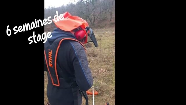 Formation BAC Pro Nature -Jardin -Paysage - Foret