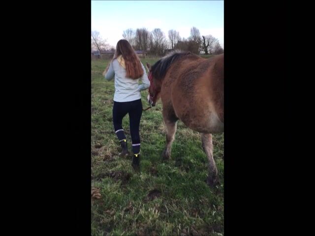Moniteur/monitrice d'équitation