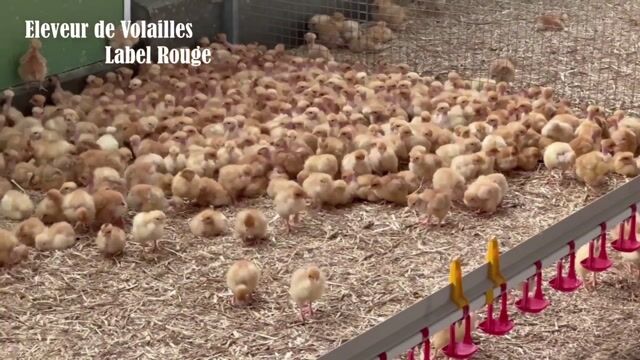 L'agriculture, bien plus qu'un métier une aventure diversifiée
