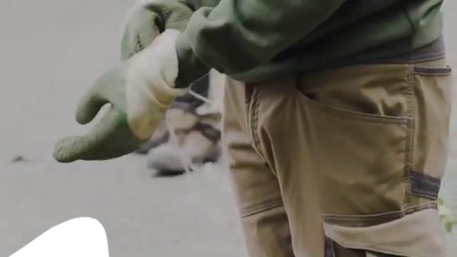 Bac aménagement paysager