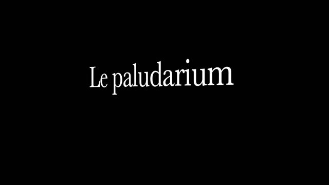 Aquariophiliste, un métier "eau " en couleur