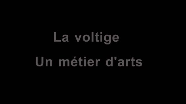 Coaching voltige équestre