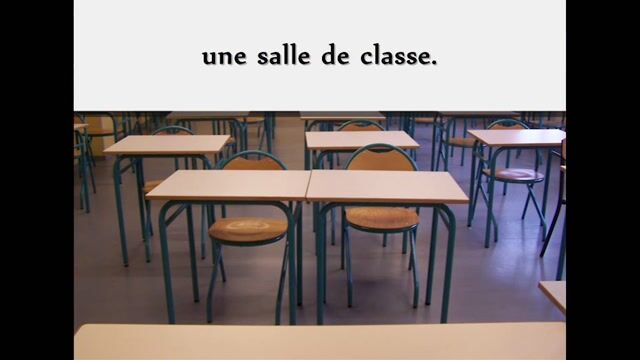Magister Humanum Est